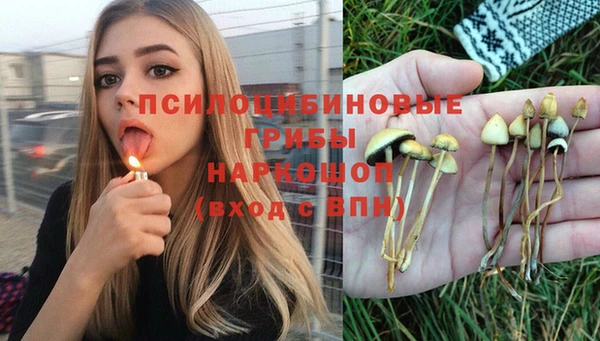 прущий лед Богданович