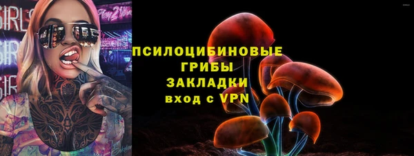 МДПВ Богородск