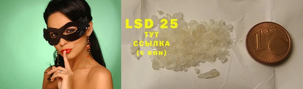 ГАЛЛЮЦИНОГЕННЫЕ ГРИБЫ Магас