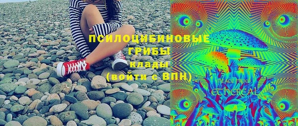 МДПВ Богородск