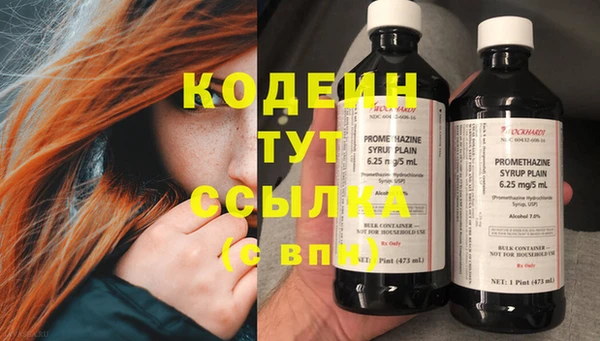 прущий лед Богданович