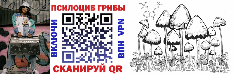 Псилоцибиновые грибы мицелий  где можно купить наркотик  Костомукша 